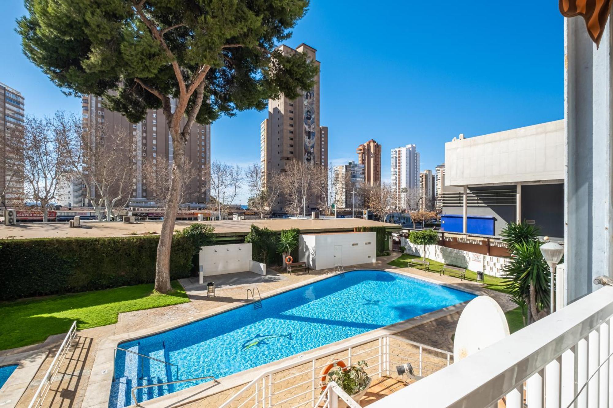 Albatros 2-6 Estudio Levante Beach Benidorm Exterior foto