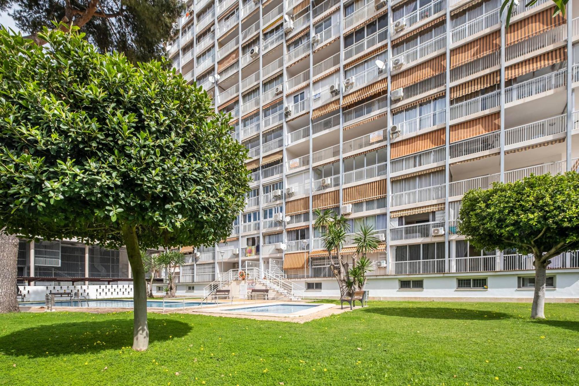 Albatros 2-6 Estudio Levante Beach Benidorm Exterior foto